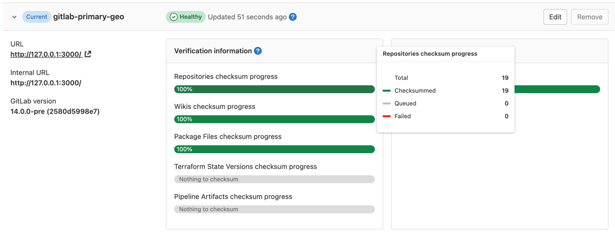 Verification information tab with an overview of a healthy primary Geo instance.